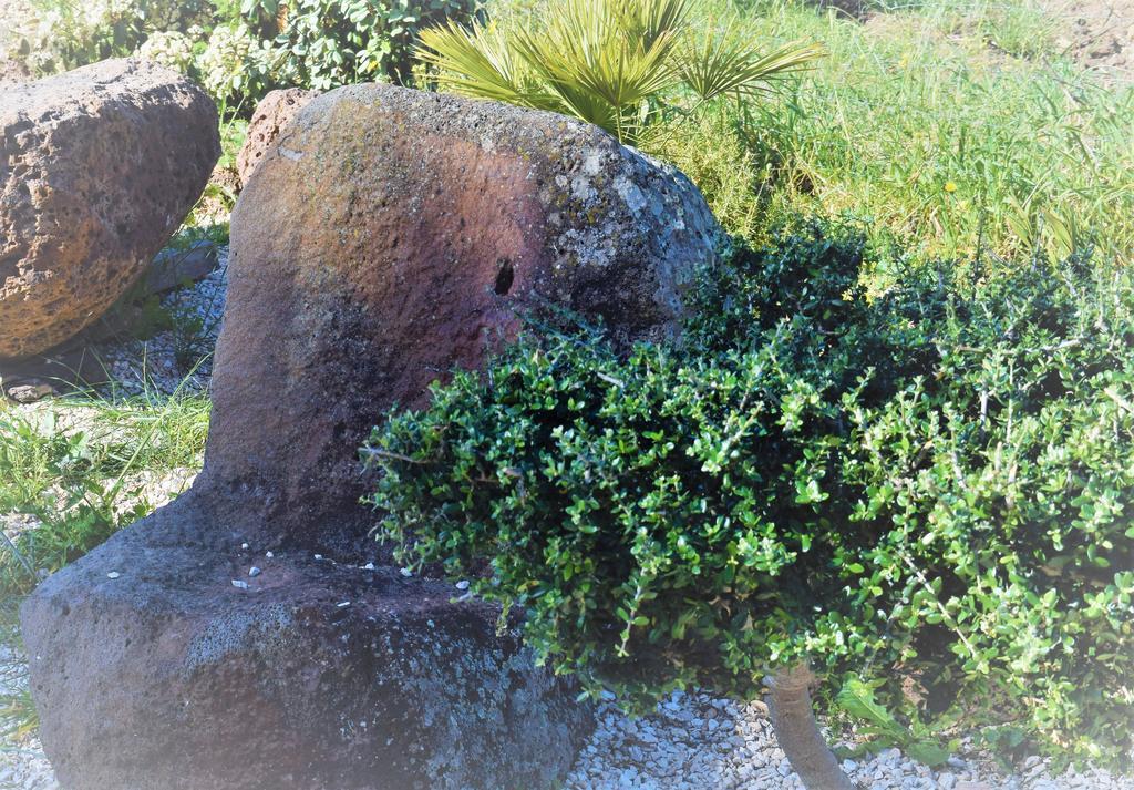La Ginestra Guest House Orosei Exterior photo